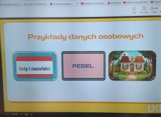 Dane i wizerunek w sieci
