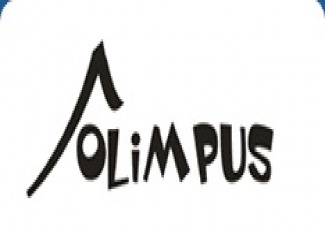 Wyniki olimpiady Olimpus - jezyk angielski